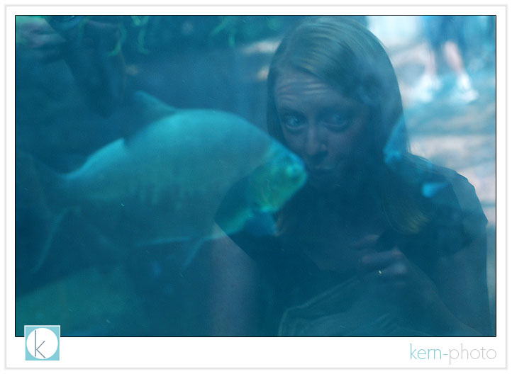 fish photograph at denver zoo by kern-photo