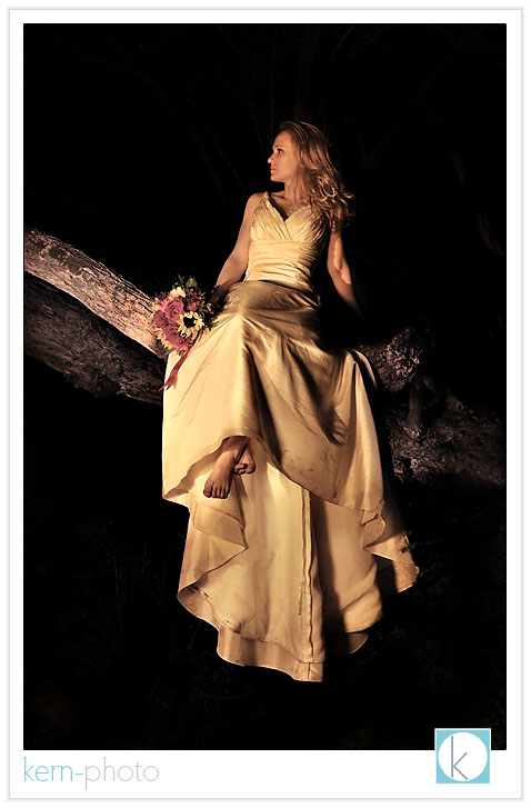 sara & eric light painting trash the dress in bellingham by kern-photo