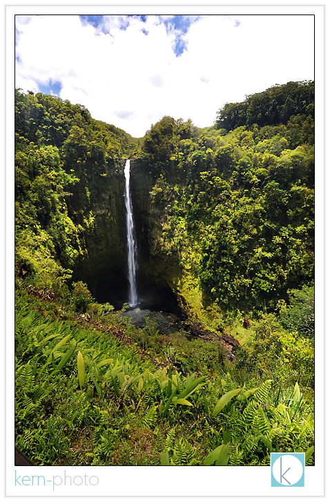 442 ft akaka falls in akaka falls state park in hawaii by kern photo
