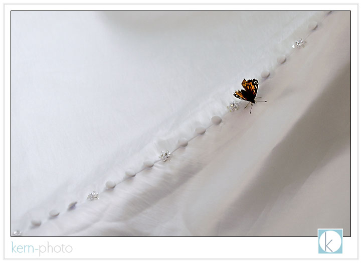 along for the ride, this butterfly held on to shara's dress during their recession: