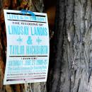 lindsay & taylor: wedding