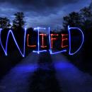 wild life
