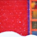 unfocused: crested butte