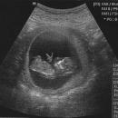 A *Little* Announcement