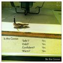 On Dating: Google and a Goose