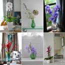 Flowers in The Home: Surprising Source of Inspiration