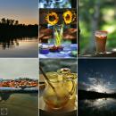 The 20 Photo Blogs I Follow
