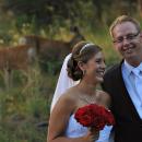 Wedding in Estes Park