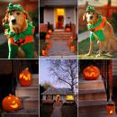Trick or Treat {Happy Halloween}