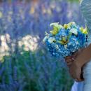 Denver Wedding: Judy & Davuth
