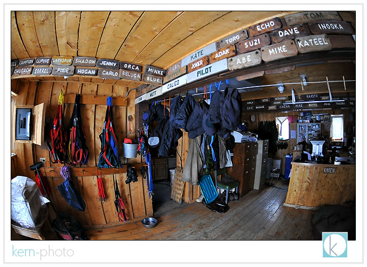 inside the kennel building hangs names of retired sled dogs.