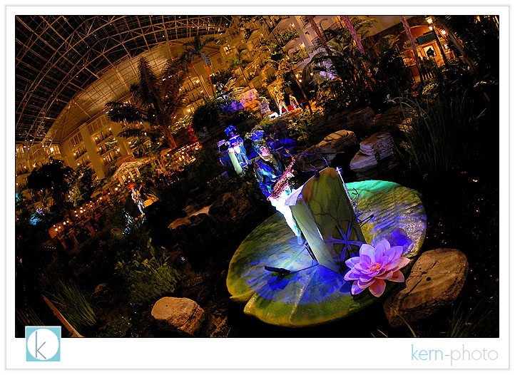 gaylord opryland resort by kern-photo