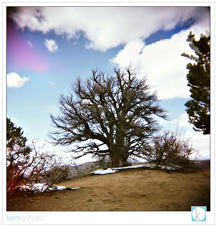 black canyon of the gunnison national park, colorado: