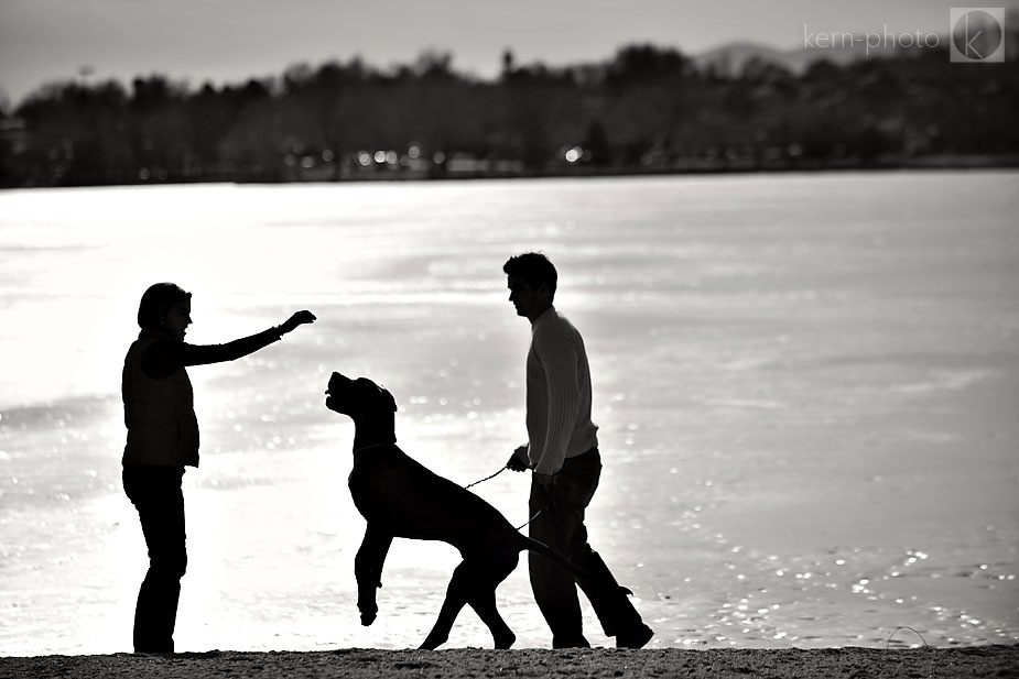 pet photographer in denver