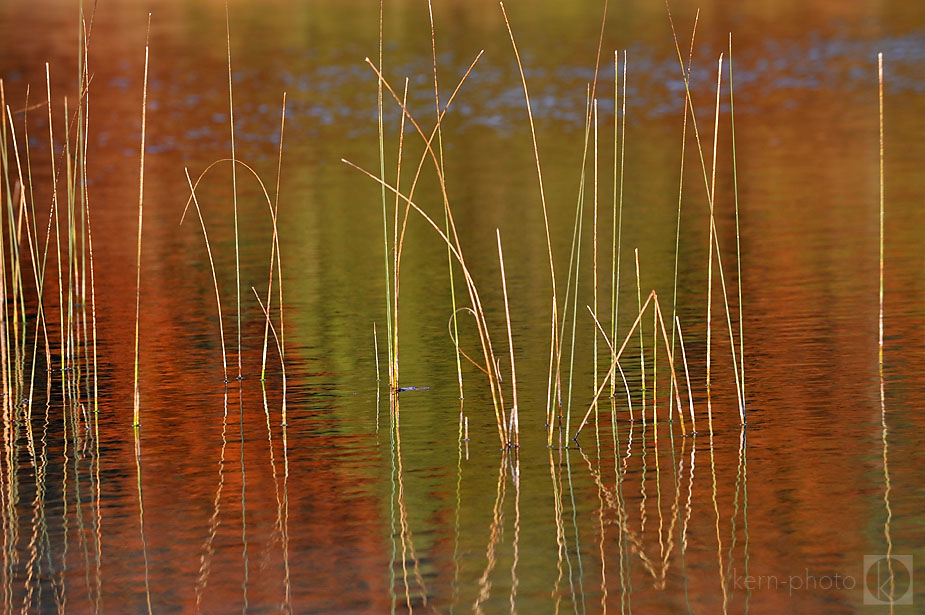 wpid-RJK_0360-2010-10-18-21-492.jpg