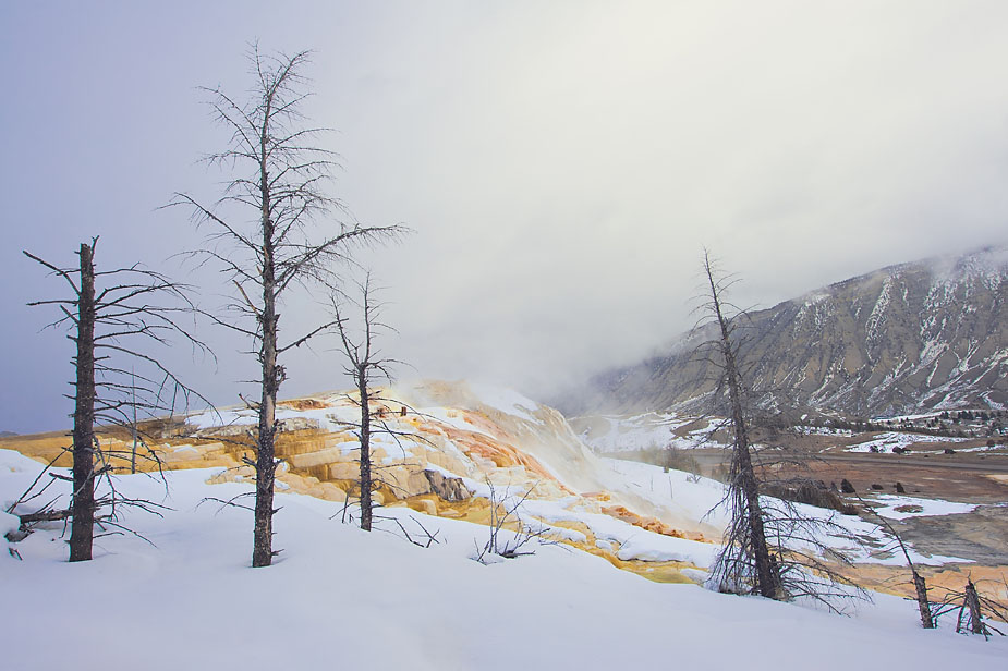 wpid-yellowstone_np_nikon_d700_4-2011-03-15-19-27.jpg