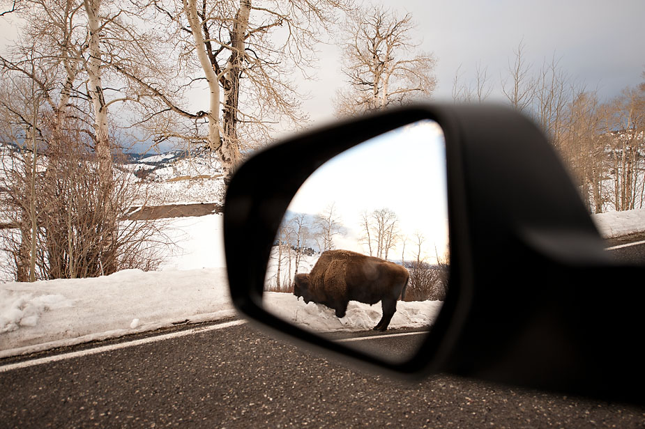 wpid-yellowstone_np_nikon_d700_6-2011-03-15-19-27.jpg