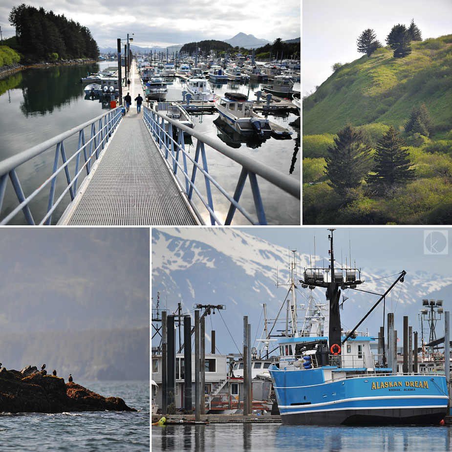 wpid-kodiak_island_fishing_500mm_1-2011-06-16-07-261.jpg