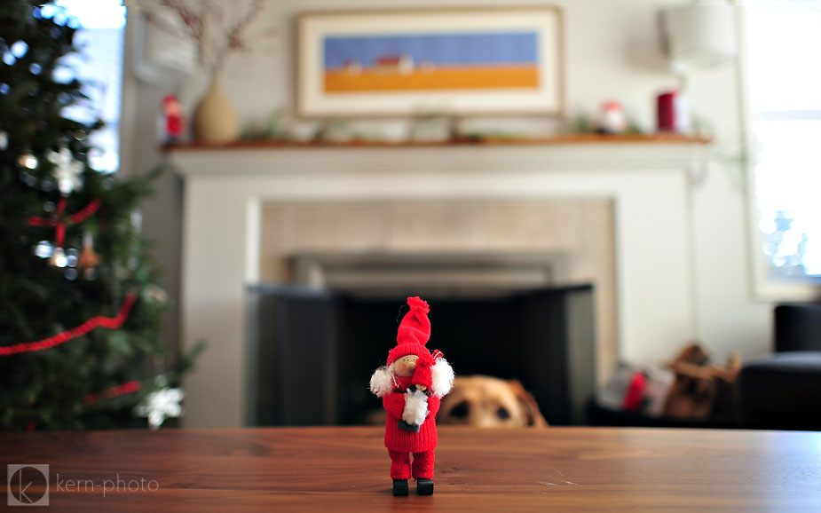 wpid-tomte-holiday-doll-2011-12-22-17-11.jpg