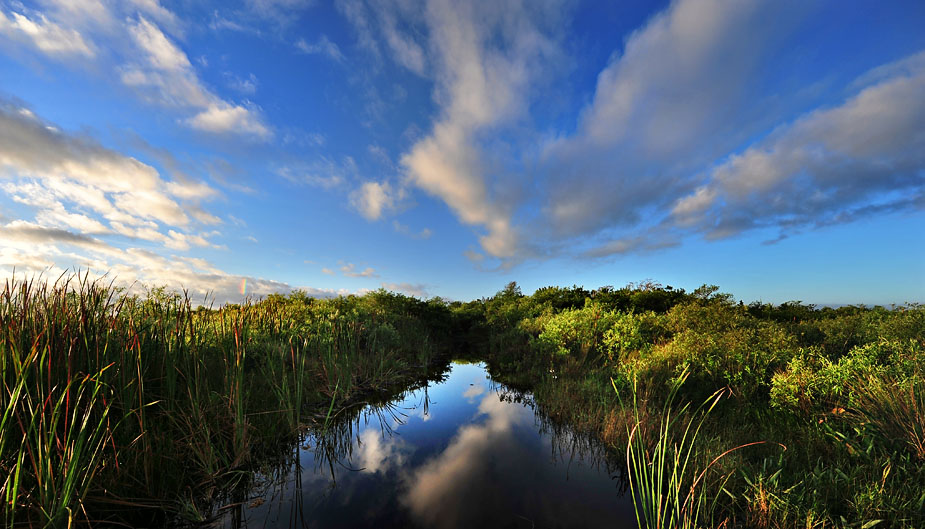 wpid-phaseone_test_shoot_everglades_19-2012-03-3-11-30.jpg