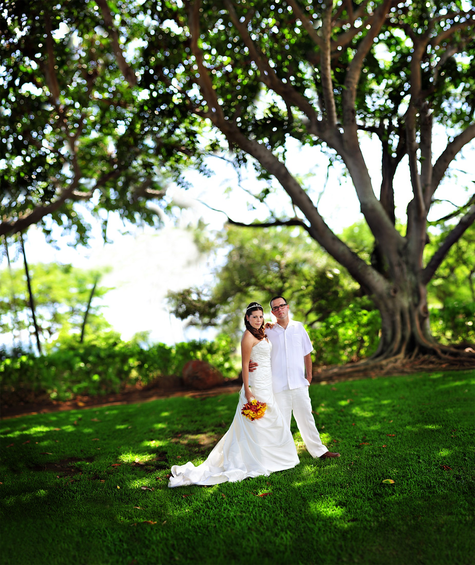 wpid-judy-noah-hawaii-wedding-photos-18-2012-04-24-00-30.jpg