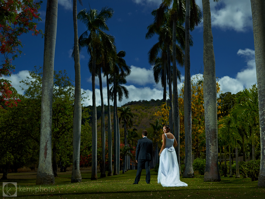 wpid-denby-henni-oahu-hawaii-wedding-photography-13-2012-08-17-21-46.jpg