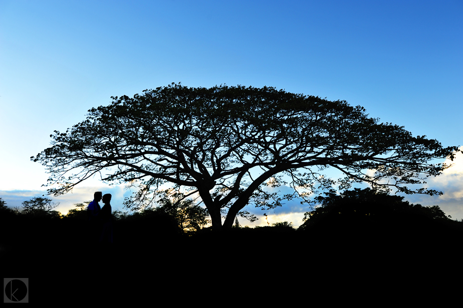 wpid-denby-henni-oahu-hawaii-wedding-photography-33-2012-08-17-21-46.jpg