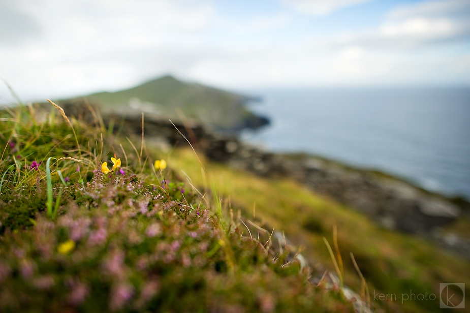 wpid-ireland-landscape-tips-tricks-4-2012-08-10-15-39.jpg