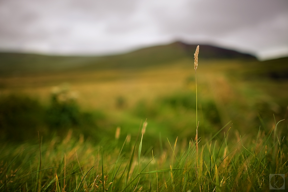 wpid-ireland-landscape-tips-tricks-5-2012-08-5-14-00.jpg