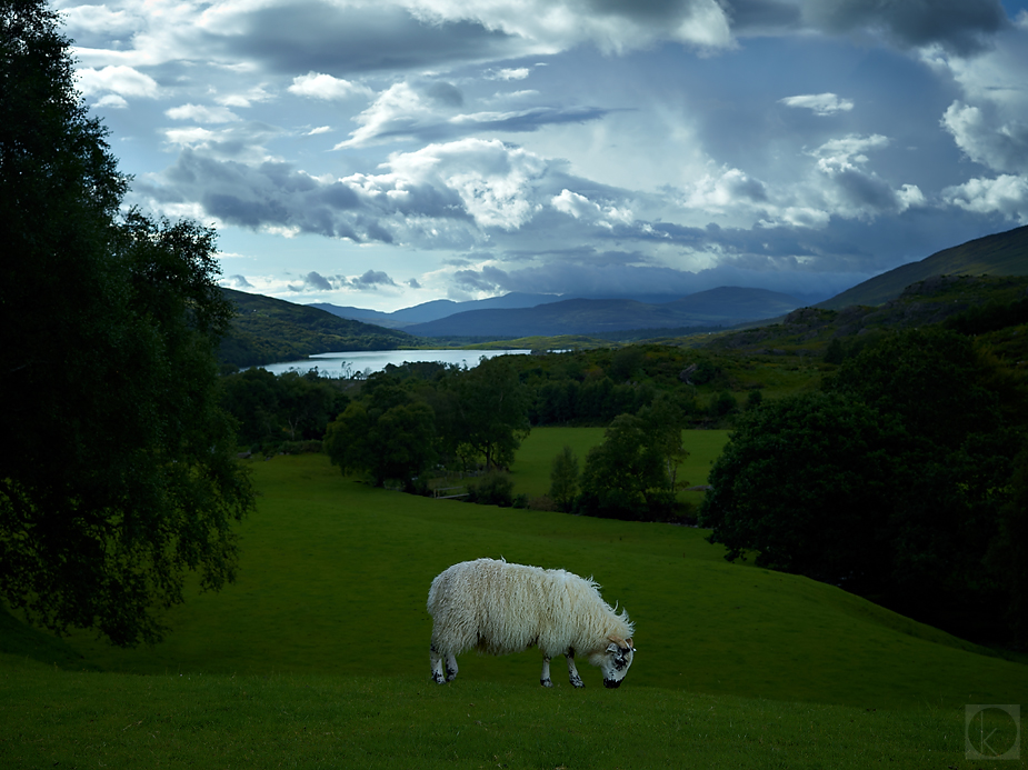 wpid-ireland-phaseone-landscape-photography-01-2012-08-5-22-30.jpg