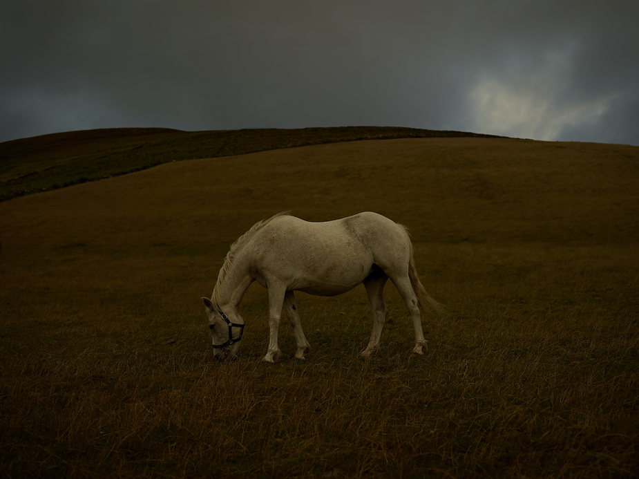 wpid-ireland-phaseone-landscape-photography-02-2012-08-5-22-30.jpg