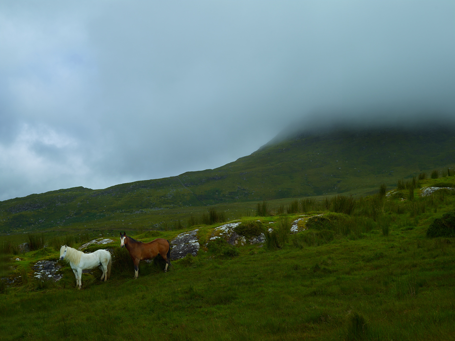 wpid-ireland-phaseone-landscape-photography-07-2012-08-5-22-30.jpg