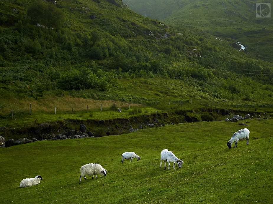 wpid-ireland-phaseone-landscape-photography-09-2012-08-5-22-30.jpg