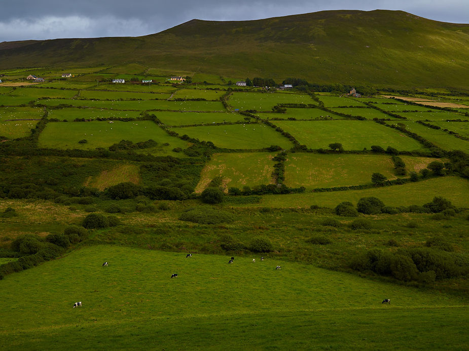 wpid-ireland-phaseone-landscape-photography-11-2012-08-5-22-30.jpg