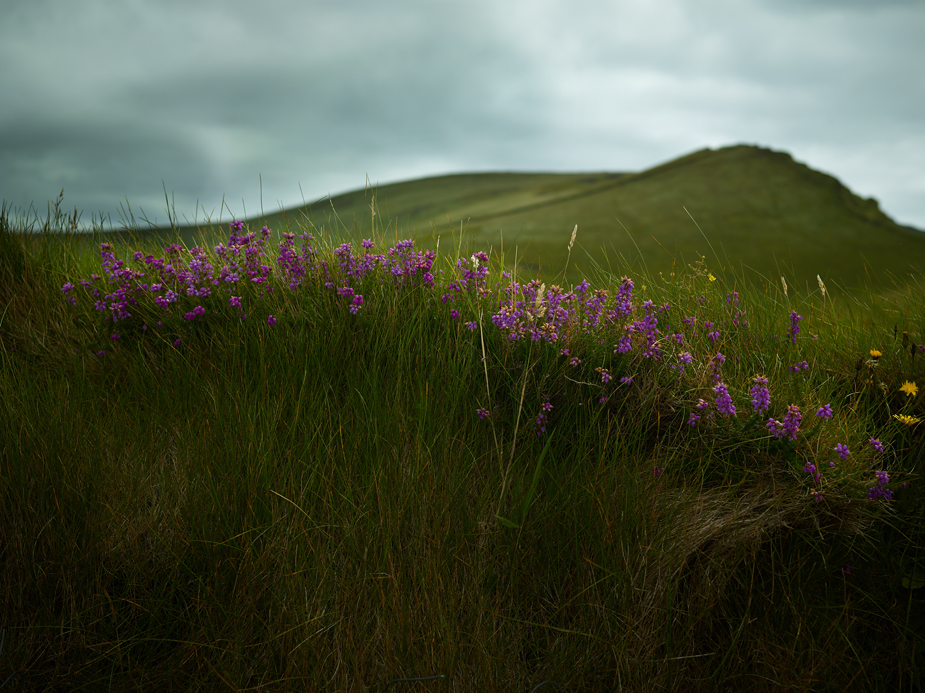 wpid-ireland-phaseone-landscape-photography-14-2012-08-5-22-30.jpg