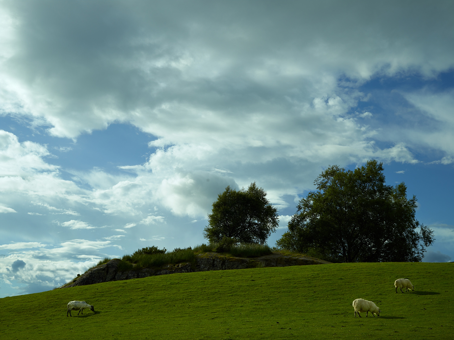 wpid-ireland-phaseone-landscape-photography-15-2012-08-5-22-30.jpg