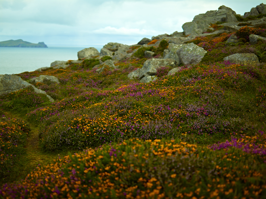 wpid-ireland-phaseone-landscape-photography-16-2012-08-5-22-30.jpg