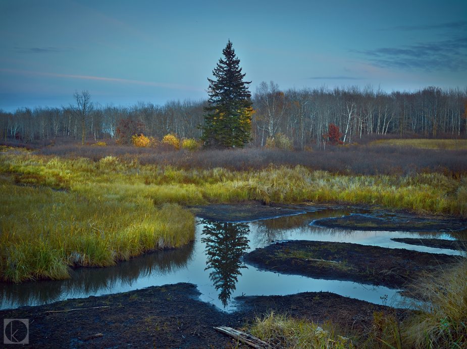 wpid-Tamarac-NWR-MN-8-2012-10-12-00-20.jpg