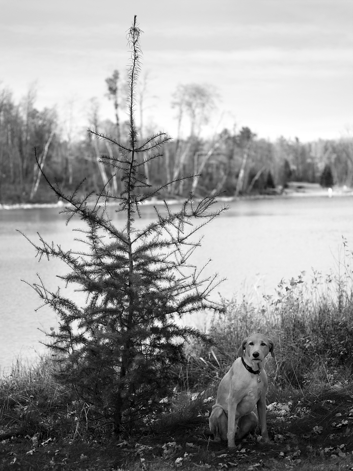 wpid-Tamarac-NWR-MN-9-2012-10-12-00-20.jpg