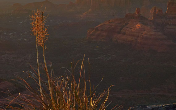 wpid-arizona-sedona-landscape-photography-close-crop-2012-12-17-12-43.jpg