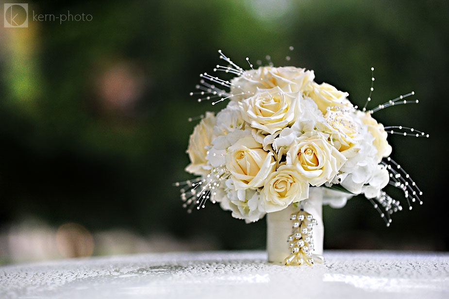 wpid-wedding-photos-bad-weather-umbrella-rain-snow-01-2013-04-10-15-35.jpg