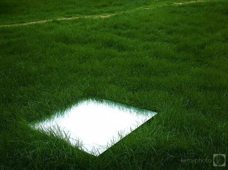 wpid-grass-is-always-greener-2013-05-24-14-15.jpg
