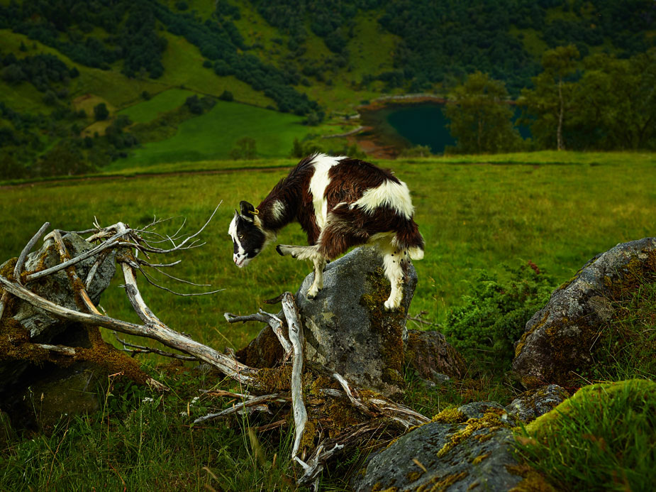 wpid-norway_landscapy_photography_phaseone_007-2013-09-7-00-45.jpg