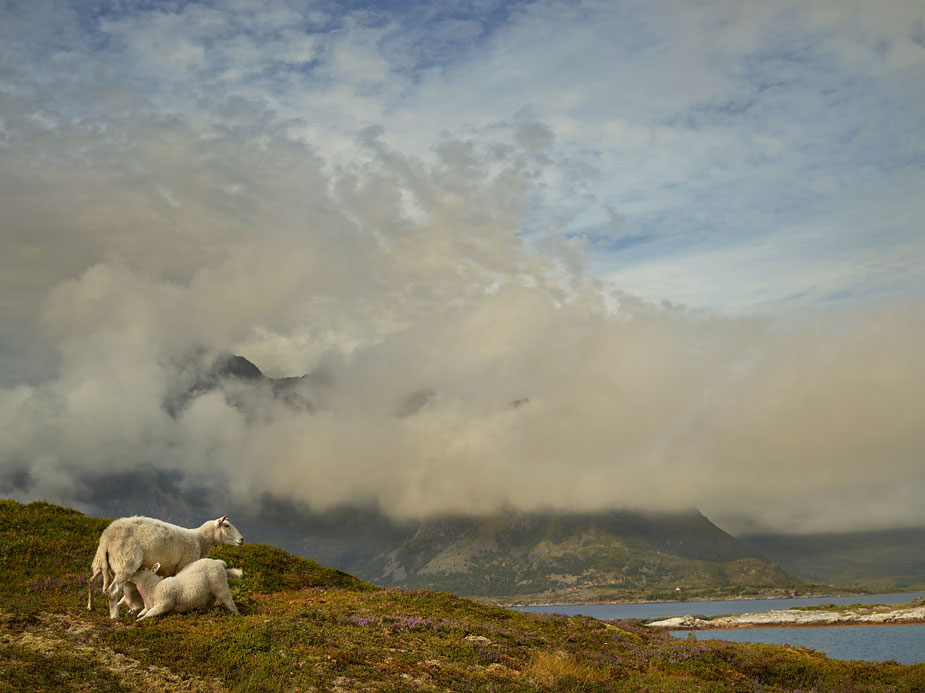 wpid-norway_landscapy_photography_phaseone_008-2013-09-7-00-45.jpg