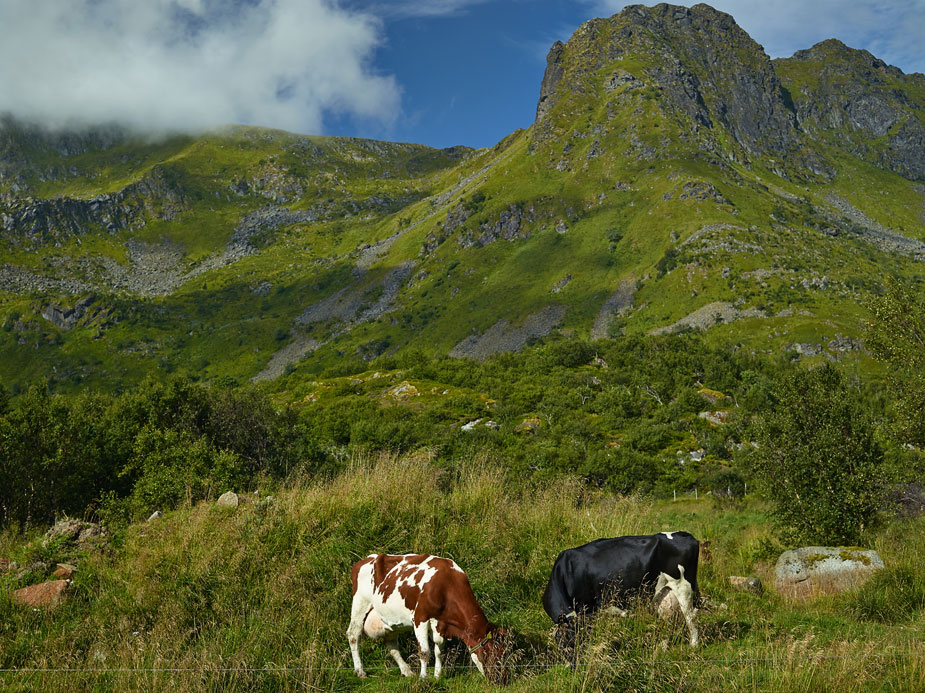 wpid-norway_landscapy_photography_phaseone_011-2013-09-7-00-45.jpg