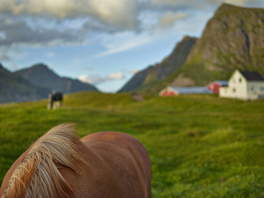 wpid-norway_landscapy_photography_phaseone_013-2013-09-7-00-45.jpg