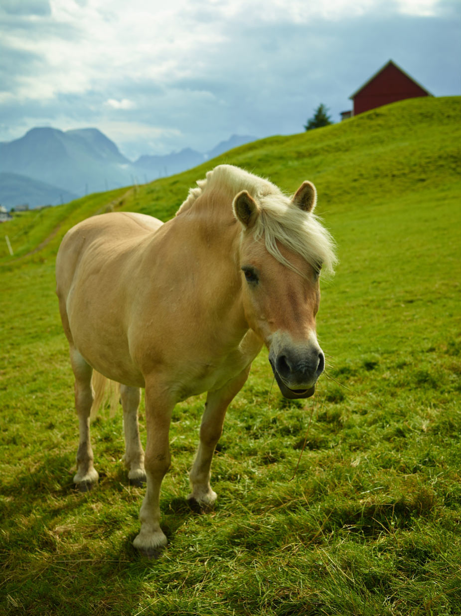 wpid-norway_travel_landscape_photography_108-2013-09-13-02-302.jpg