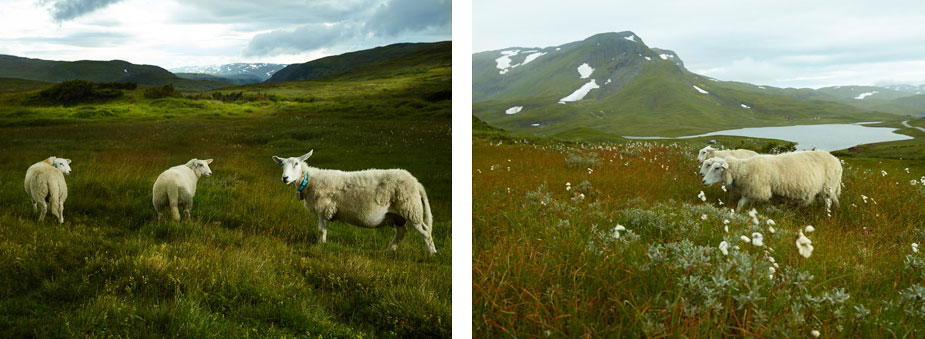 wpid-norway_travel_landscape_photography_113-2013-09-13-02-302.jpg