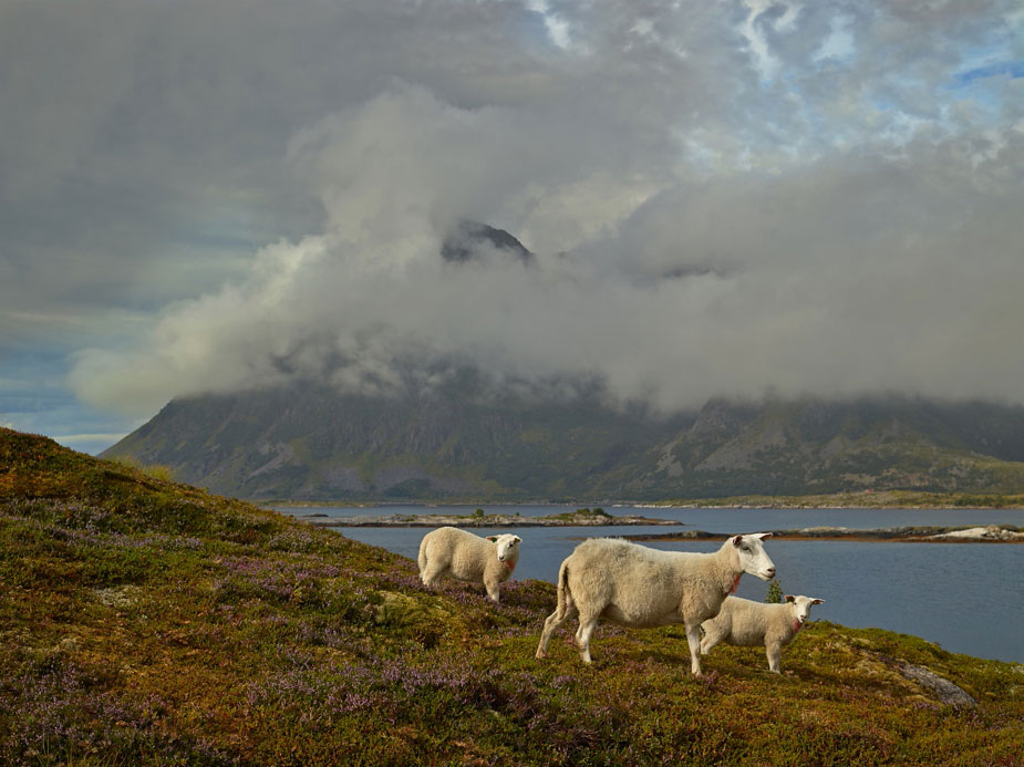 wpid-norway_travel_landscape_photography_146-2013-09-13-02-30.jpg