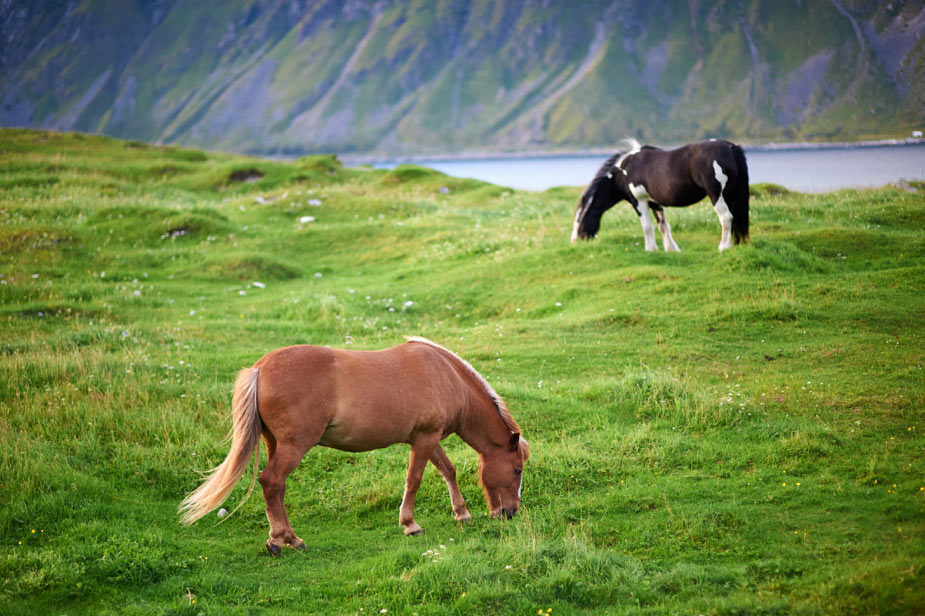 wpid-norway_travel_landscape_photography_170-2013-09-13-02-30.jpg